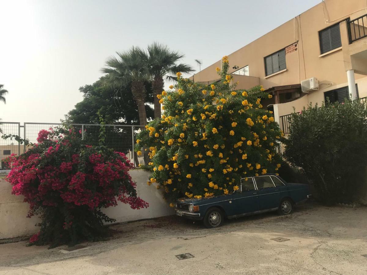 Theodoros Apt. 408 普罗塔拉斯 外观 照片
